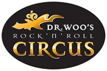 3 Stück Aufkleber Dr. Woo's Rock 'n' Roll Circus - oval